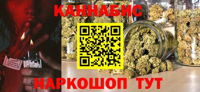 МДПВ Бийск