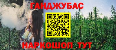 МДПВ Бийск