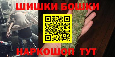 МДПВ Бийск