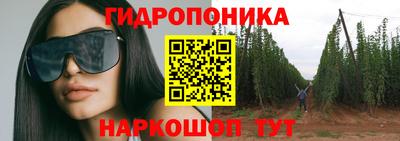 МДПВ Бийск