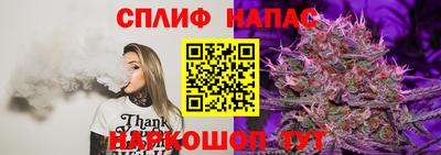 гашишное масло Берёзовский